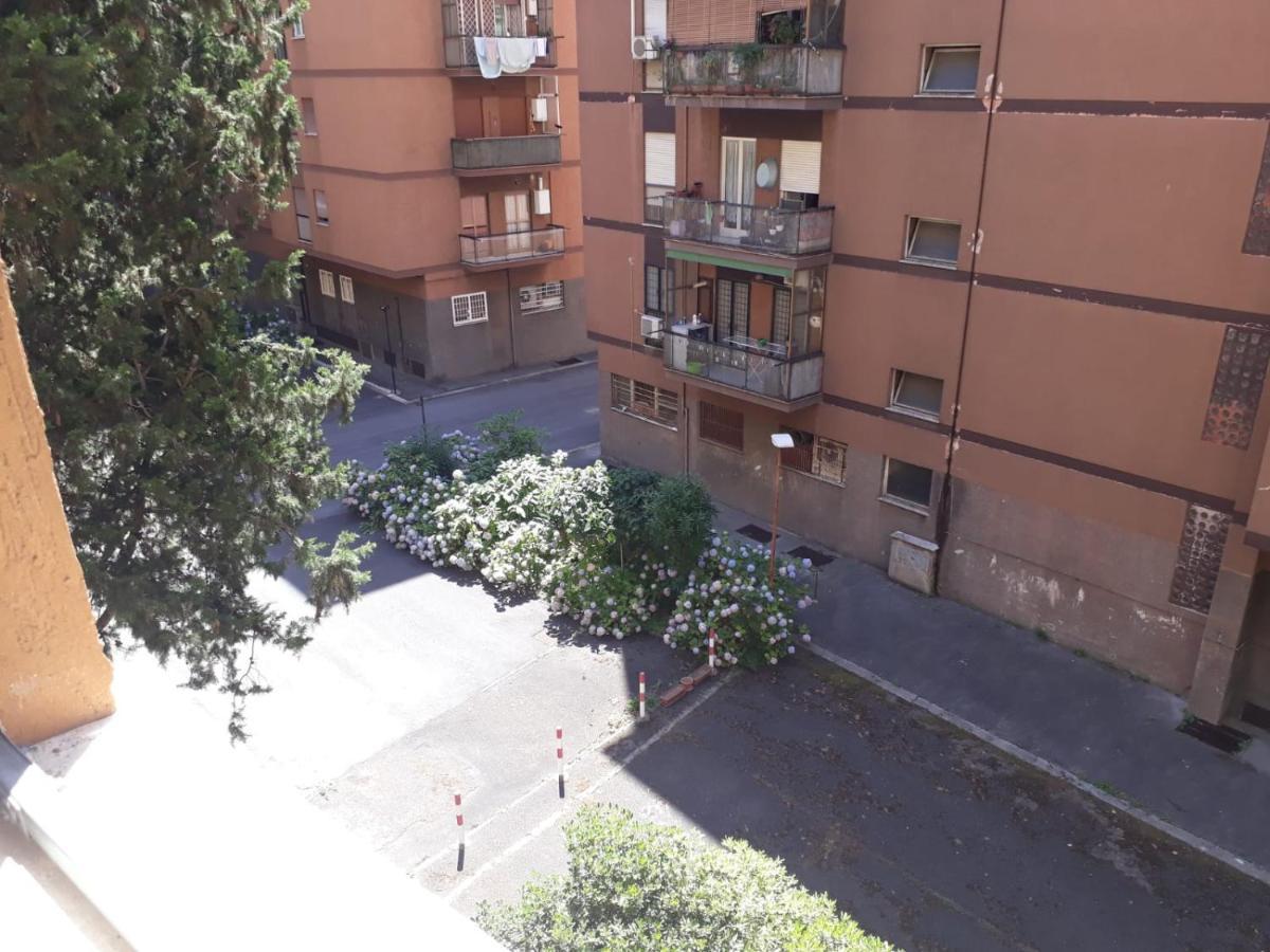 La Tisana Rom